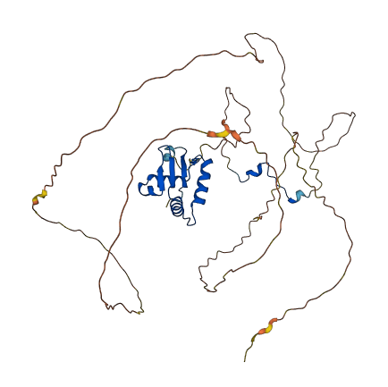 ELK4 3D structure