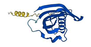 CST5 3D structure