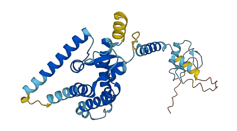 PEX2 3D structure