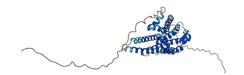 NMBR 3D structure