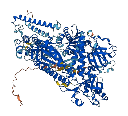 POLD1 3D structure