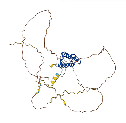 HOXD9 3D structure