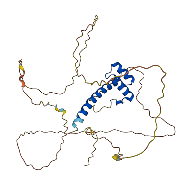 HOXD10 3D structure