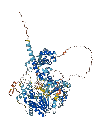 SMARCA1 3D structure