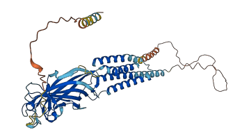 GABRR2 3D structure