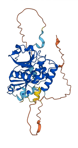 DUSP1 3D structure