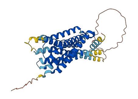 HTR1E 3D structure