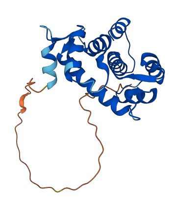 GCA 3D structure