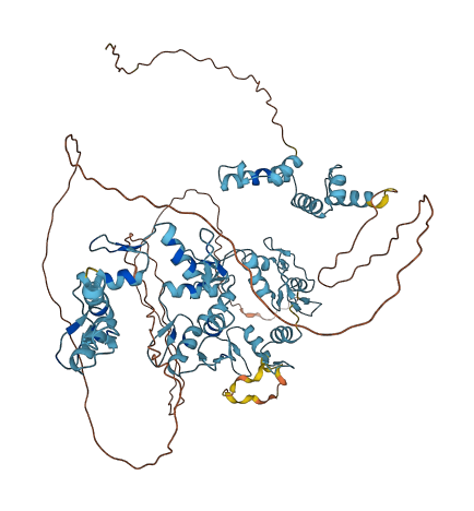 MZF1 3D structure