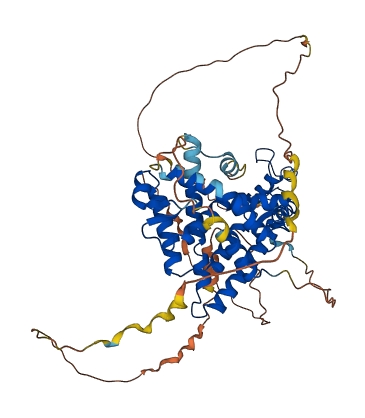 RXRB 3D structure