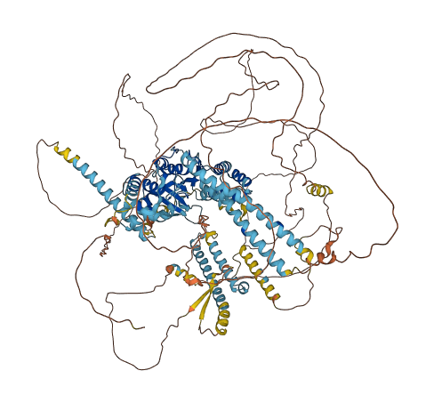 ERCC5 3D structure
