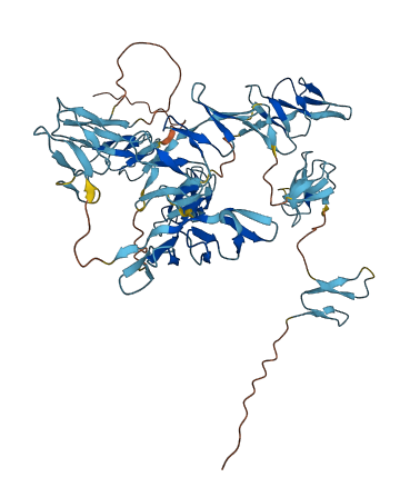 GRN 3D structure