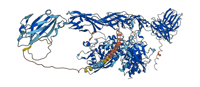 PTPRM 3D structure