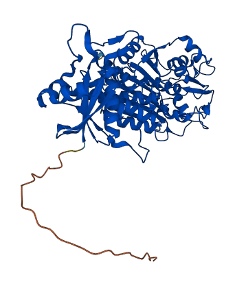 LAP3 3D structure