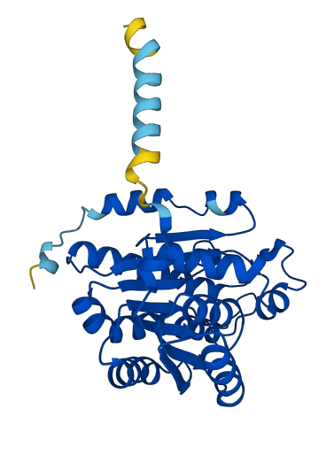 HSD11B1 3D structure
