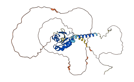 CD34 3D structure