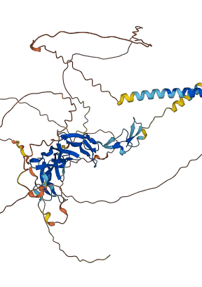 TNFRSF8 3D structure