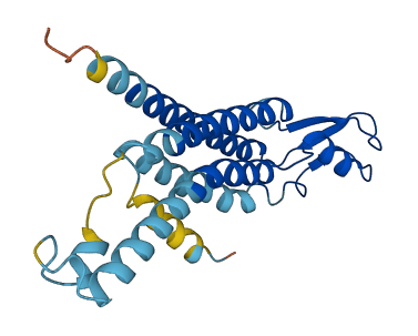 GJB2 3D structure