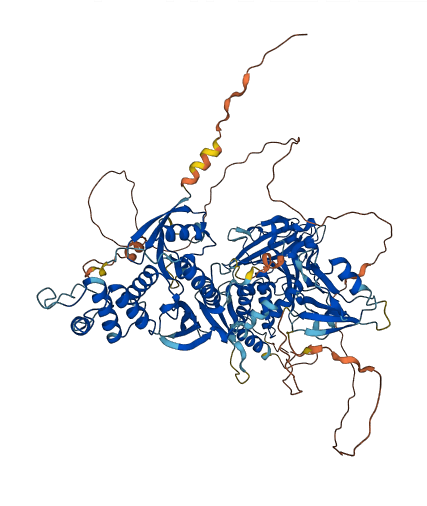 PTPN4 3D structure
