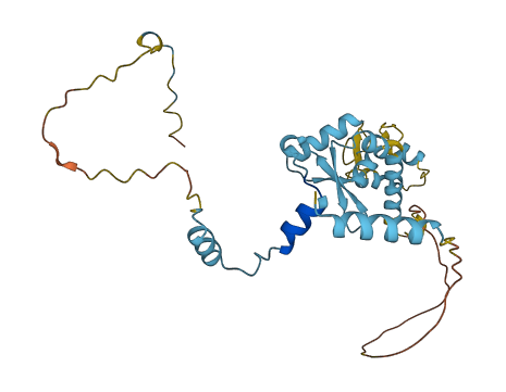 GTF2E2 3D structure