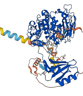 PCSK1 3D structure