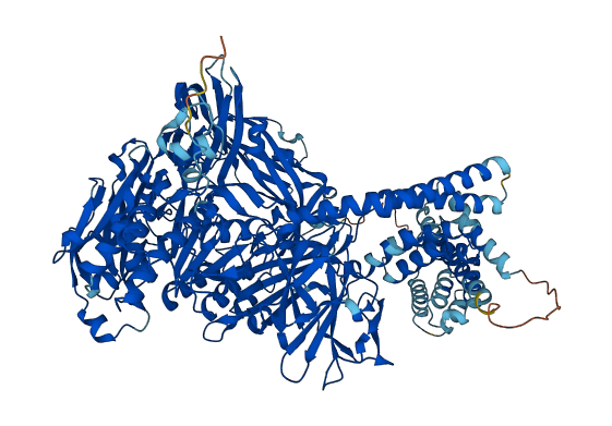 TPP2 3D structure