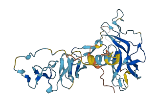 CCN2 3D structure