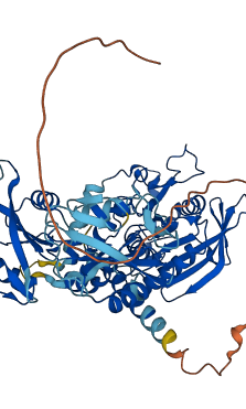 PTPN6 3D structure