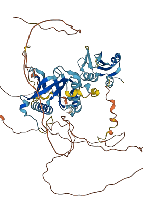SHC1 3D structure