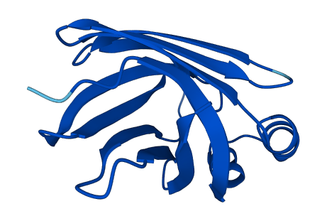 CRABP2 3D structure