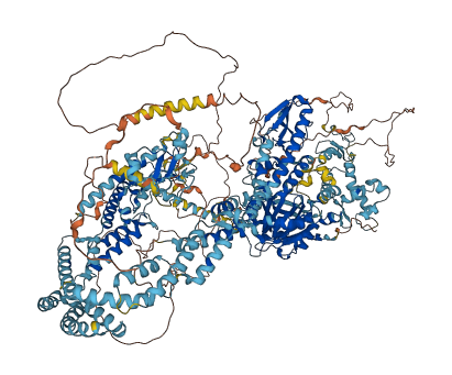 KDM5A 3D structure