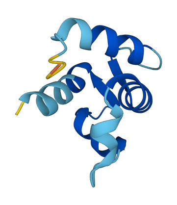 S100G 3D structure