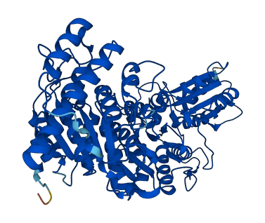 TKT 3D structure