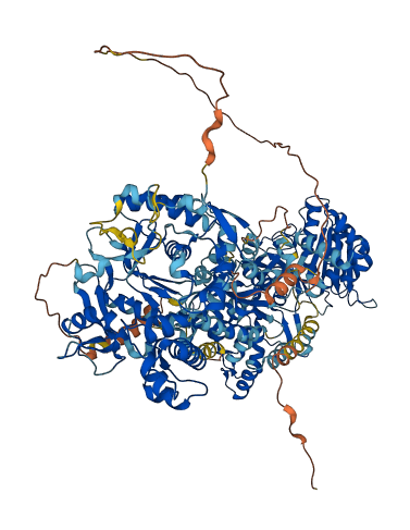 NOS3 3D structure