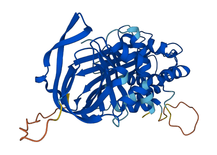 SERPINB3 3D structure
