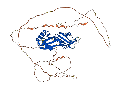 RBMS1 3D structure
