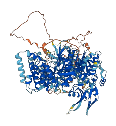 TYK2 3D structure