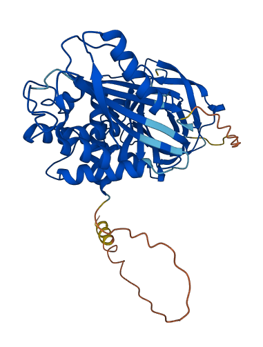 SERPINA4 3D structure