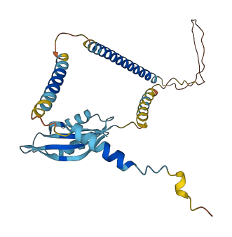EEF1D 3D structure