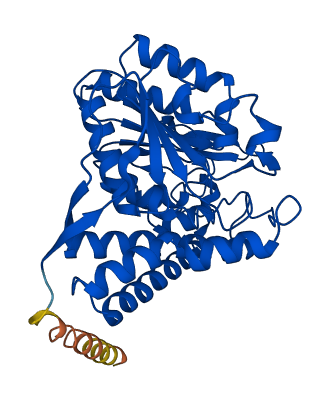 PDHA2 3D structure