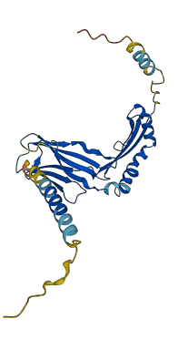 RT1-Bb 3D structure