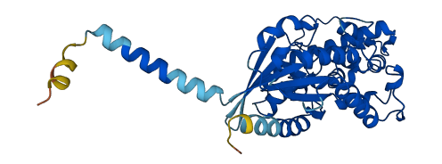 GNA11 3D structure