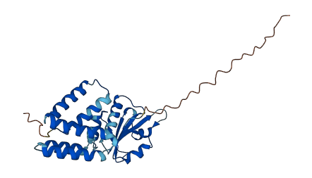ERP29 3D structure