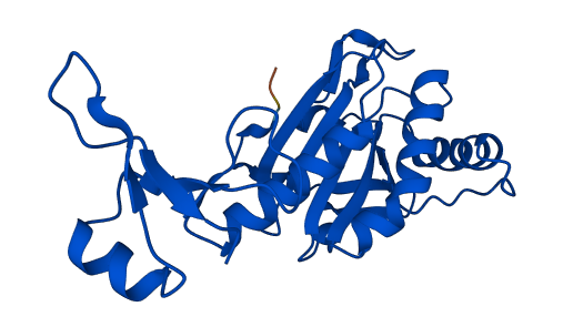 PRDX6 3D structure