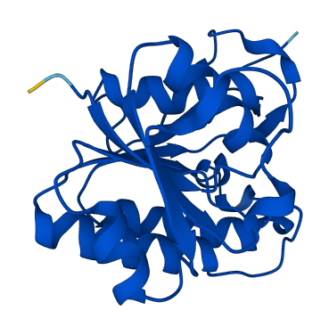 BLVRB 3D structure