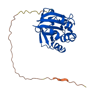 PRDX5 3D structure