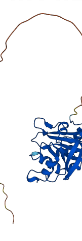 PRDX3 3D structure