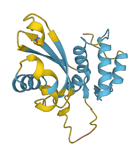 RPL12 3D structure