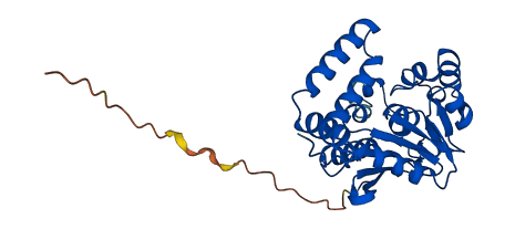 ECHS1 3D structure