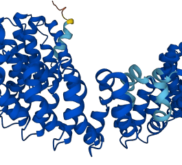 PPP2R1A 3D structure